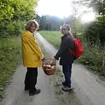 Zywe Kruklanki
