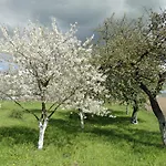 Zywe Kruklanki