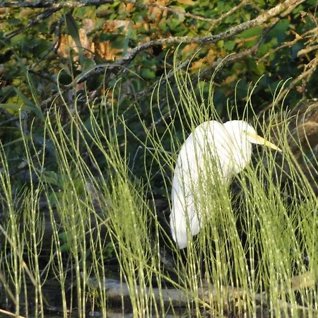 Zywe Feriegård Kruklanki