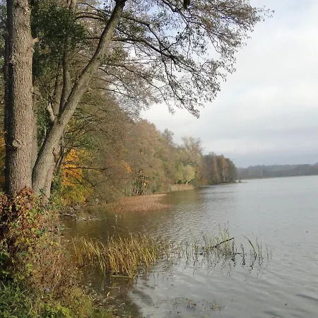 żywe