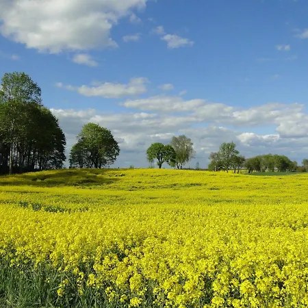 Alojamento de Turismo Rural Zywe *