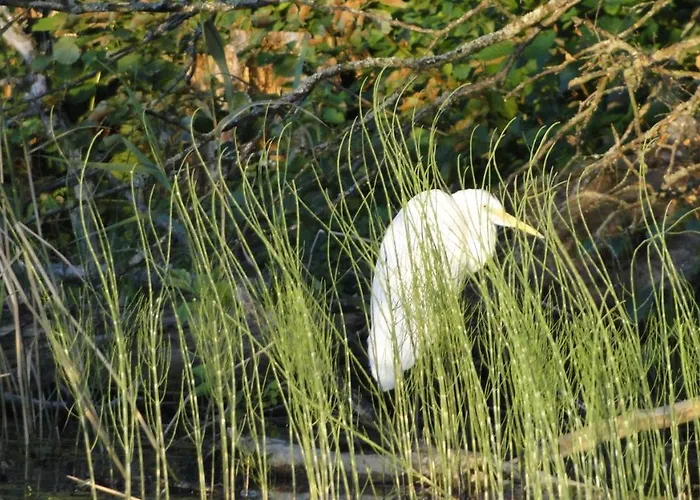 Zywe Farm stay Kruklanki