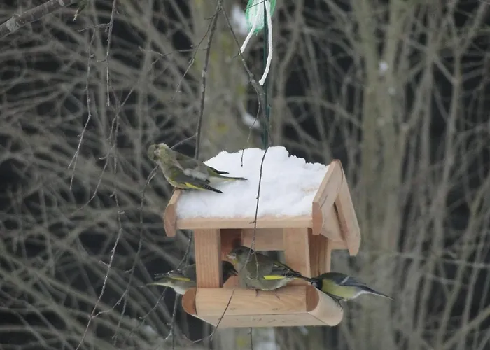 Farm stay Zywe Kruklanki